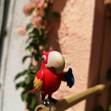 בית נופש Casa Tita Lavacolhos