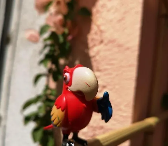Σπίτι διακοπών Casa Tita Lavacolhos